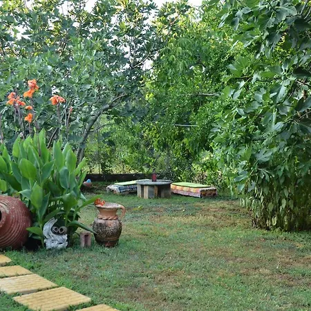Semesterbostad Doloi Garden House *