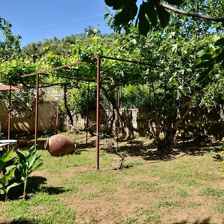 Doloi Garden House