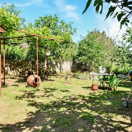 Dom wakacyjny Doloi Garden House